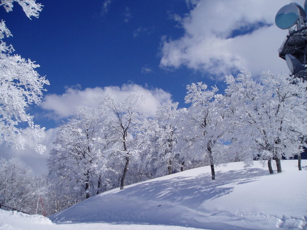 Lodge Matsuya Нодзава Онсен Екстериор снимка