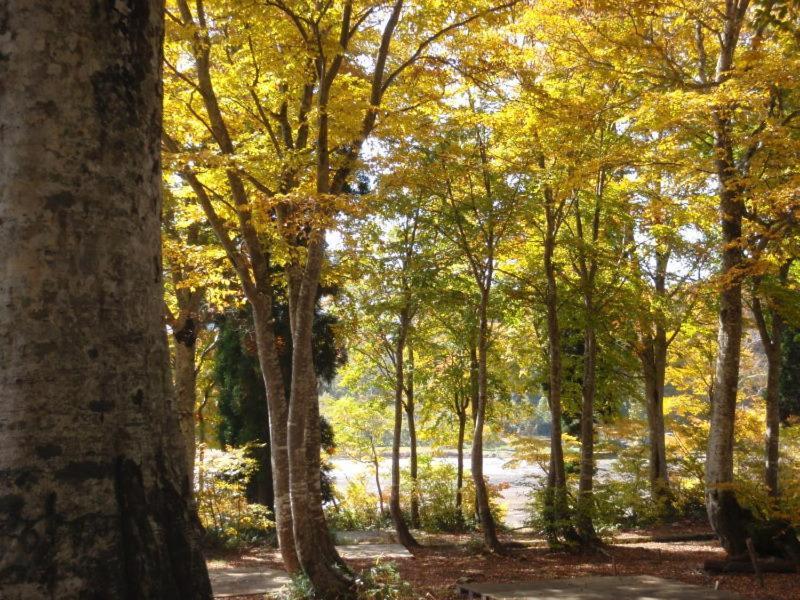 Lodge Matsuya Нодзава Онсен Екстериор снимка
