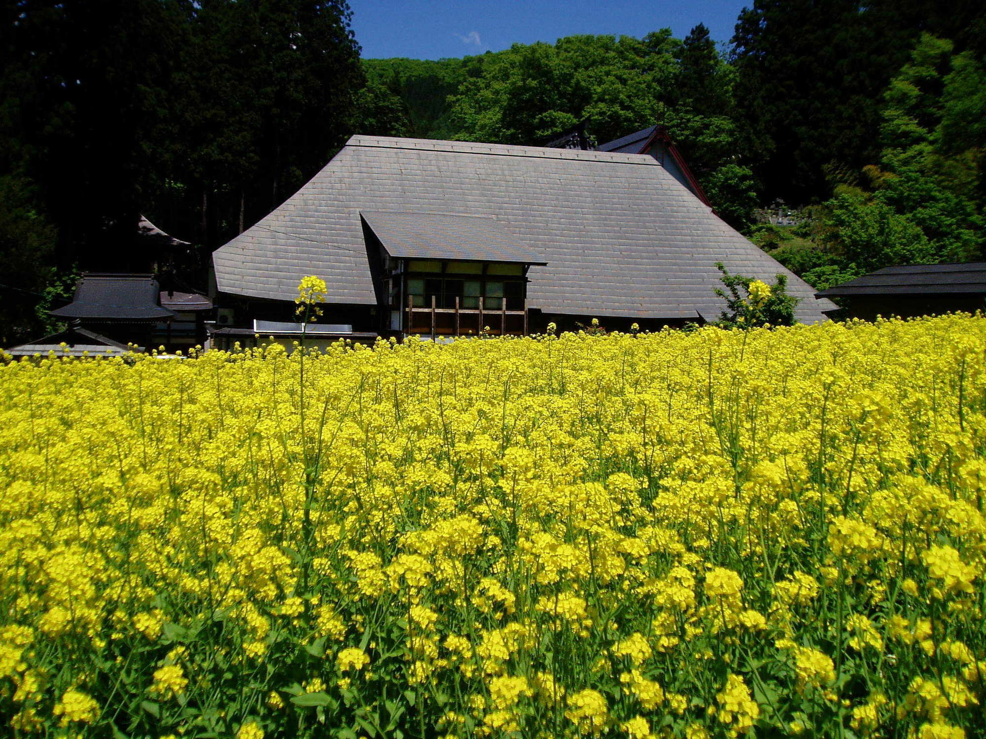 Lodge Matsuya Нодзава Онсен Екстериор снимка
